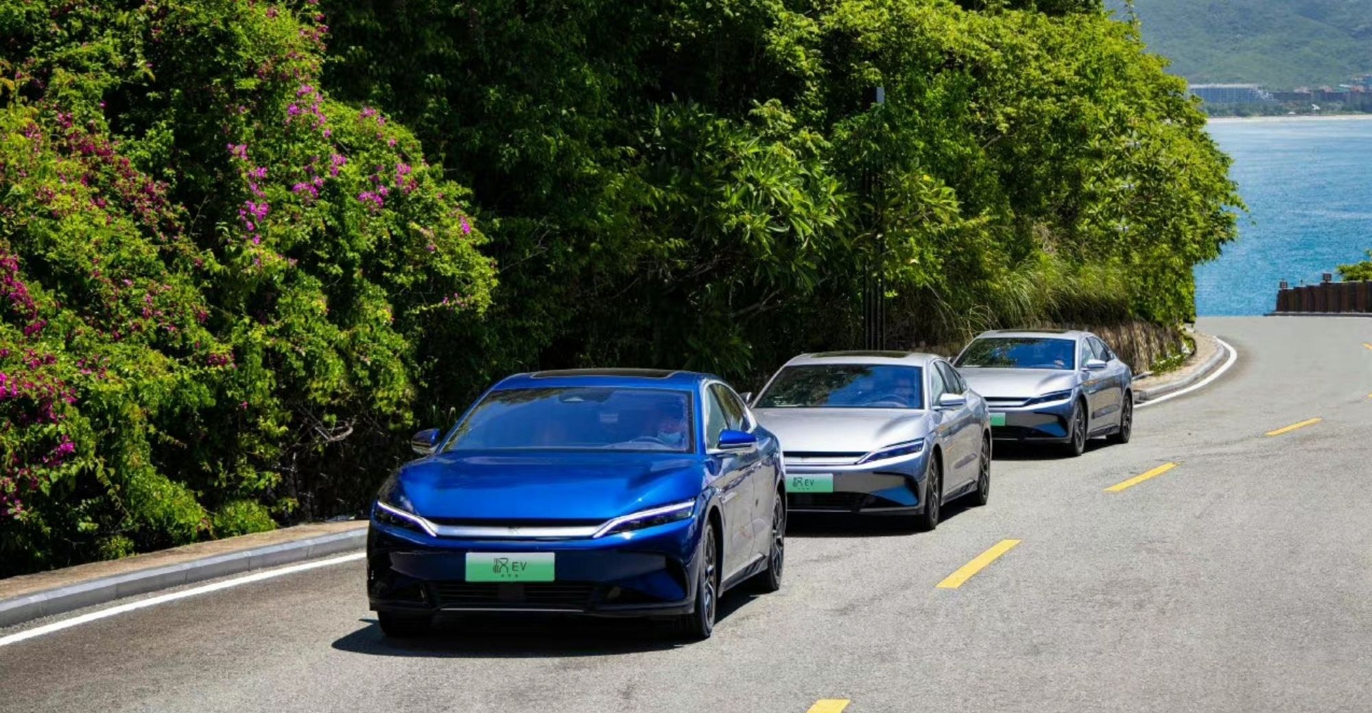 BYD Surpasses Tesla to Rank Top in Global EV Sales in H1